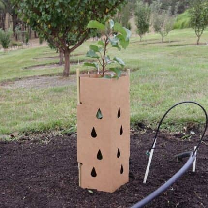 Tree Guards Greenguard Biodegradable Square Sage Horticultural