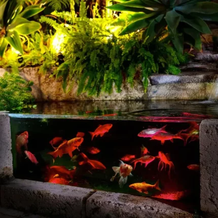 RGB pond lights for water features with customizable color options