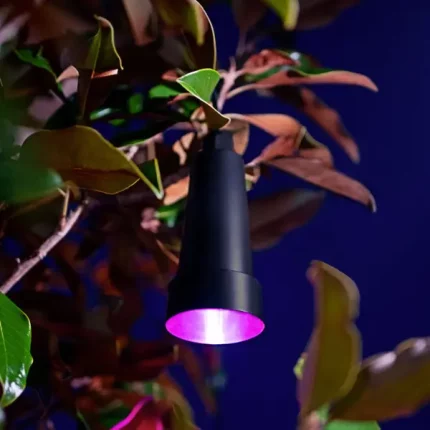 RGB hanging tree light providing customizable lighting for outdoor spaces