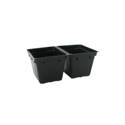 0.15L Twin Propagation Punnet, black plastic tray with 8 cells for nursery and greenhouse use