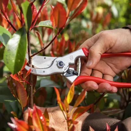 Felco 4 Pruning Shear with Felco 903 Diamond-Coated Sharpener for effective gardening and maintenance