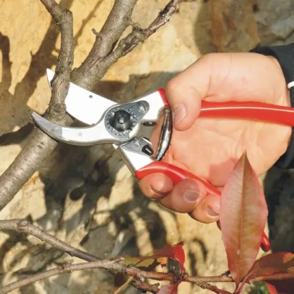 Felco 2 Pruning Shear and Felco 600 Pull Saw set for precise gardening and landscaping tasks