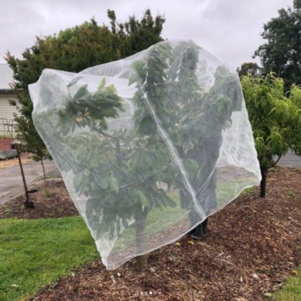 Ryset Formed Insect Net covering a large garden bed, protecting plants from pests and birds