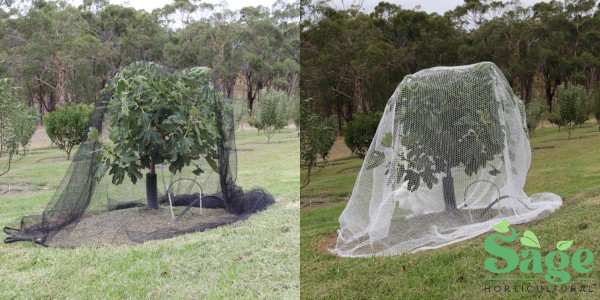 Black vs White Bird Netting