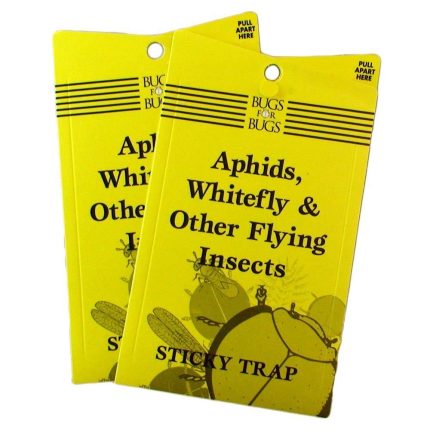 Yellow Bugs for Bugs Sticky Whitefly Traps with twist tie, capturing flying pests in a greenhouse